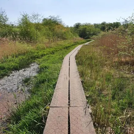 Appartement Vestingstadappartement Groenlo With Garden