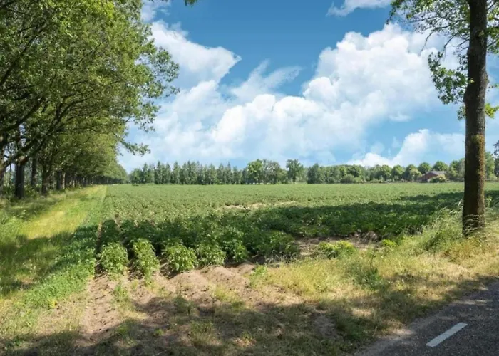 Vestingstadappartement With Garden * Groenlo