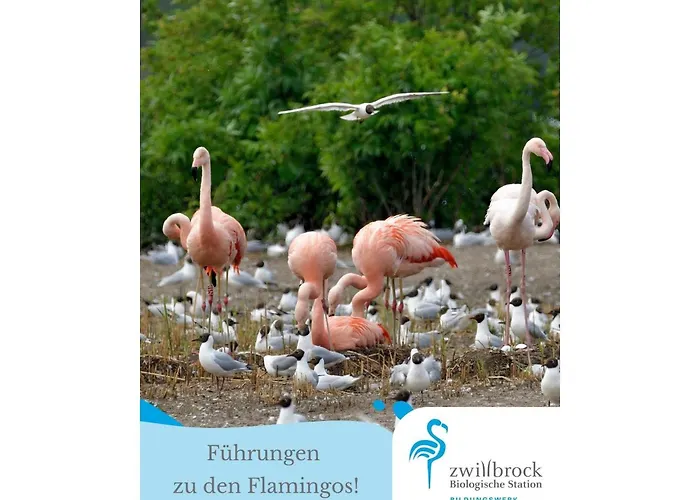 Vestingstadappartement With Garden Апартаменты Грунло