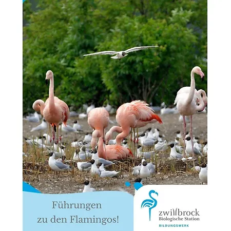 Vestingstadappartement With Garden Apartment Groenlo